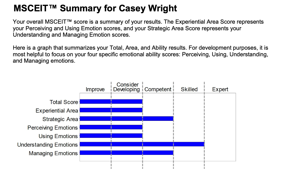 Testing Your Emotional Intelligence w/ Emily Shanstrom